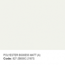 POLYESTER BS00E55 MATT (A)